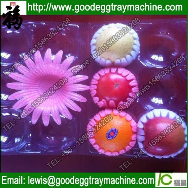 Plastic pan foam tray