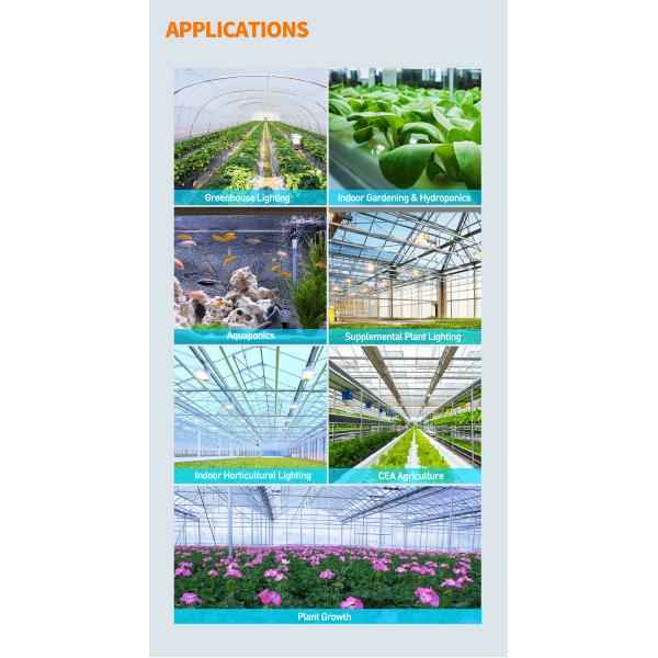 спектр 73148lm 630W полный растет выращивание растения светов CMH 50Hz