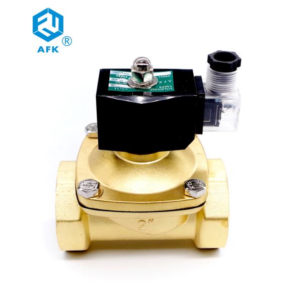 Válvula de solenoide normalmente fechada de bronze do gás natural da C.A. 220V