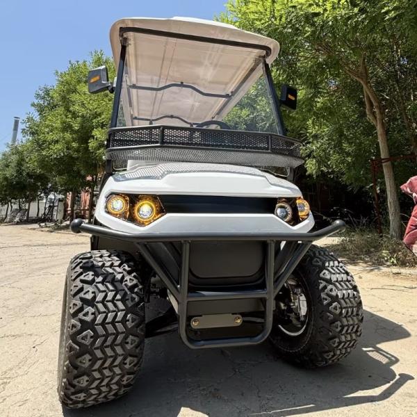 6 Person 48V 60V 72V 100AH Lead-Acid Cell Long Range Electric Golf Buggy