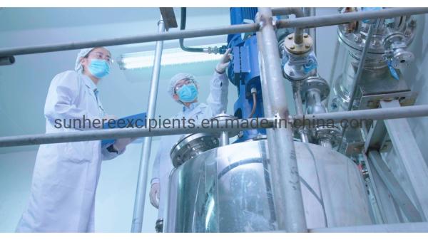 Poudre de crospovidone de qualité médicinale à prix abordable avec certification ISO CAS 9003-39-8