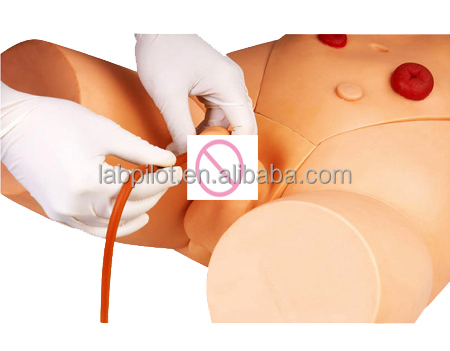 Intramuscular Injection Training Model for Female Catheterization Skill Development
