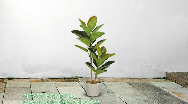 80cm Nearly Natural Looking Oak Tree Faux Plants Ornamental Indoor Tree Fashional Faux Oak Tree Plants Real Touch
