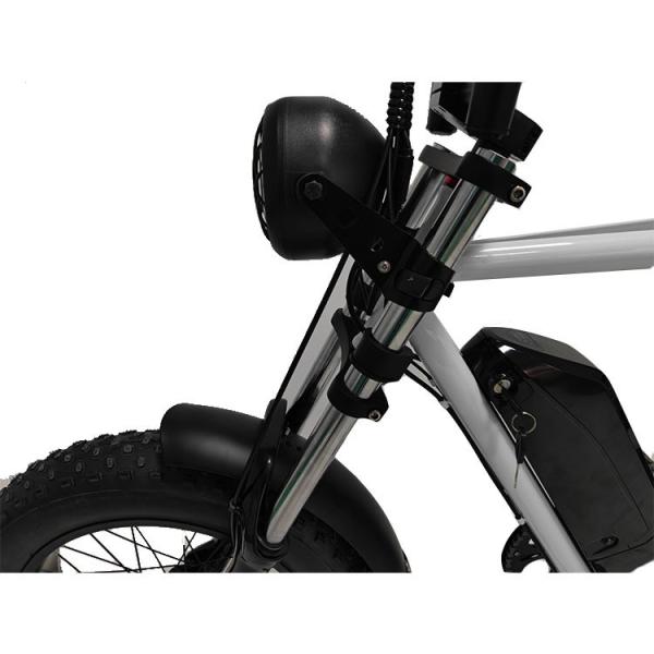 1460*320*840mm REMOVABLE BATTERY Hot E-Bike Fat Tire Mountain Bike Electric Bicycle
