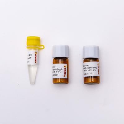 Mistura mestra do RT QPCR da etapa de DSPath 4X um