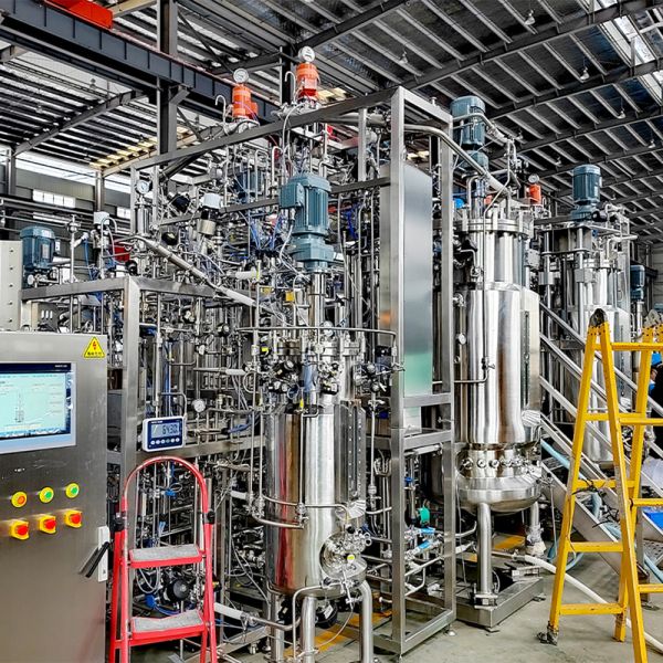 1500L Reactor Stainless Steel Mechanical Stirring Bioreactor BLBIO 1500SJA Industrial Bioreactor Probiotic Fermentation Tank