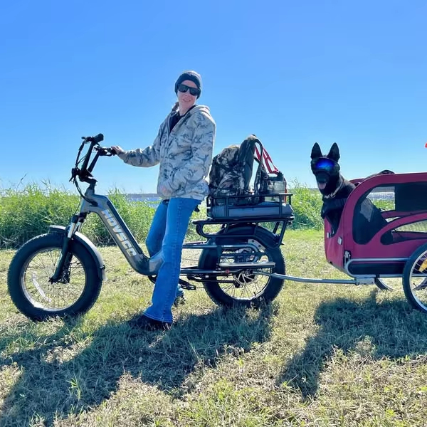 2025 Wholesale 750W  48V 15Ah Battery for Grocery Delivery  Family Transportation 20  Fat Tire Long Tail Electric Cargo Bike