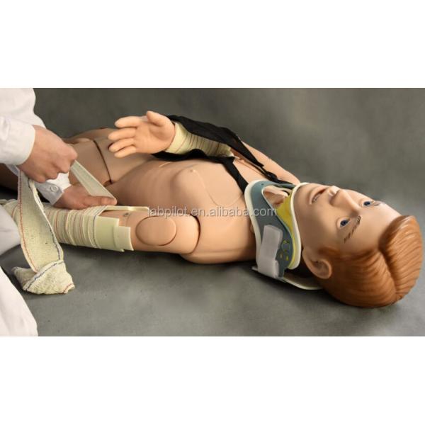 Medical Teaching Manikin for External Fixation Training in First Aid of Limb Fracture