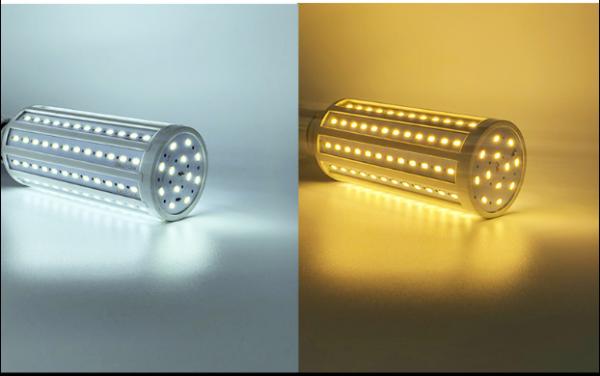 Big 20w Indoor Led Light Bulbs , Led Corn Bulb Household Cold White 360 Degree