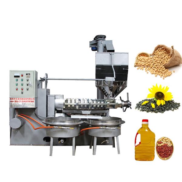 Screw Cold Making Sunflower Peanut Oil Presser 120 - 160 Kg/H Capacity