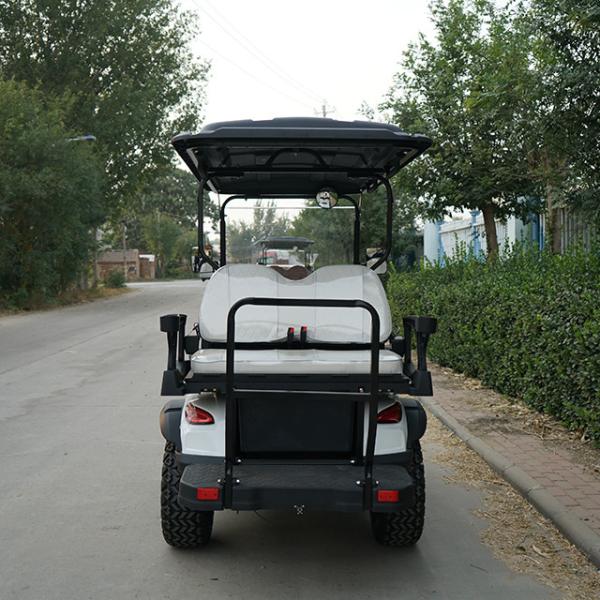Lake Horse Electric Golf Cart with Buggy Car Tour Tire Front Disc Rear Drum Brake System