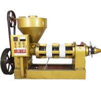 La prensa automática del aceite de cocina trabaja a máquina el extractor para el aceite de rabina negro del cacahuete de las semillas