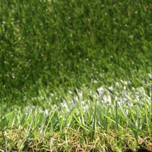Garden Residential Fake Grass Tile / Hotel Shop Office Artificial Putting Green