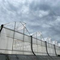 Agricultura Multi-Span Estufas Serra-de-serra com sistema de arrefecimento Sistema de plantação de sementes