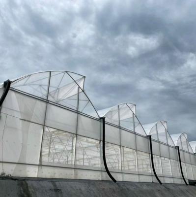 Agricultura Multi-Span Estufas Serra-de-serra com sistema de arrefecimento Sistema de plantação de sementes