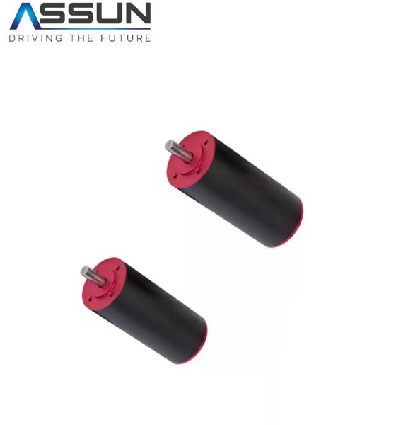 36V 24V 12V Coreless Brushless Motor 25000rpm 20mm Diameter