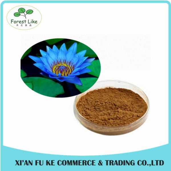 China Manufacturer Blue Lotus Extract/Dried Blue Lotus Flower Extract/GMP Blue Lotus Powder
