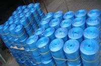 Le fil de polypropylène emballant 1800m/roll 3000m/roll pp tortillent la ferme Garde