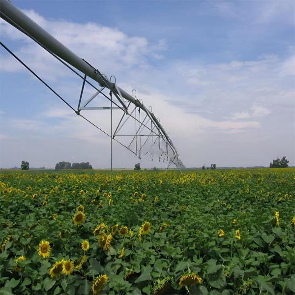 DYP Agricultural Machinery Equipment Big Gun Center Pivot Sprinkler The Ultimate Solution for Farm Irrigation Efficiency