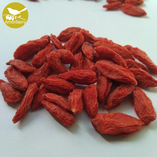 Gouqizi Health food dried fruit /organic goji berries China supplier price organic goji berries dried