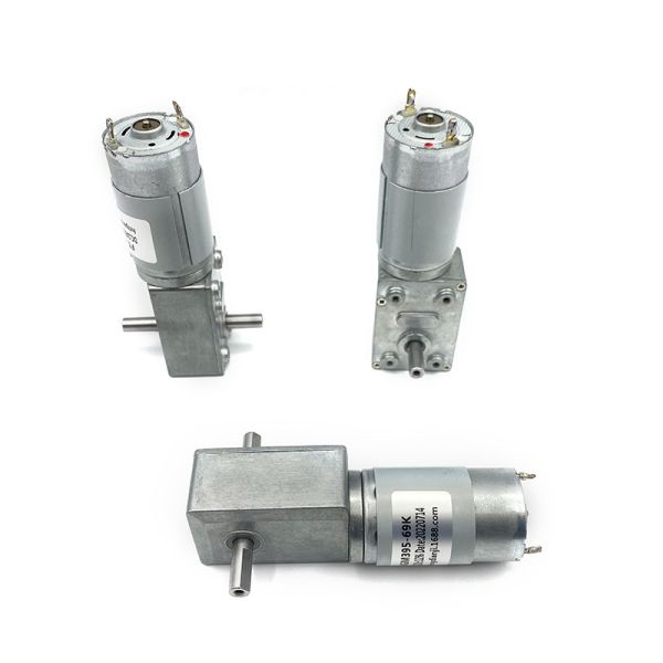 Customized Manufacturer FT-46SGM395-69K 12V Micro DC Gear Motor 24V Worm Gear Motor