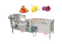 Verdura de la lavadora de la burbuja SUS304 y dar fruto máquina de la limpieza de la comida 500kg/H