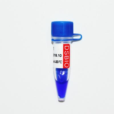 Marker 1 DNA Marker Electrophoresis 400bp 50ug Blue Appearance