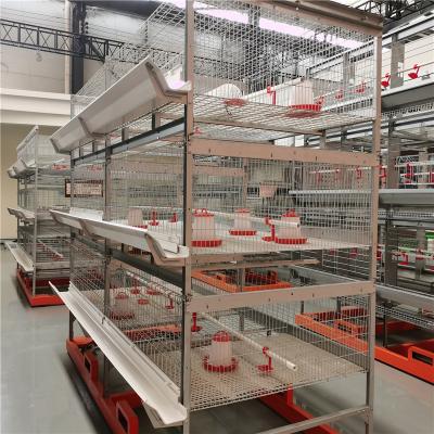 4 Tiers 8 Doors Broiler Chicken Cage Hot Dipped Galvanized