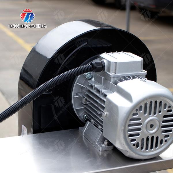 Línea de transformación de fruta y verdura de la esterilización del ozono del arreglo para requisitos particulares desintoxicación seca