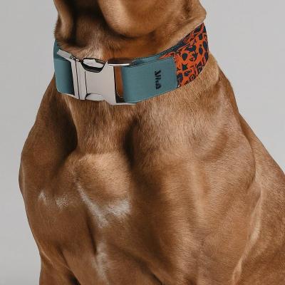 Stylish Dog Collar Leash Set custom Cat Collar And Leash Set Closures Mixed Materials