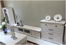 Uptake Plastic Technology Living Room Wall Units Contemporary Simple European Style