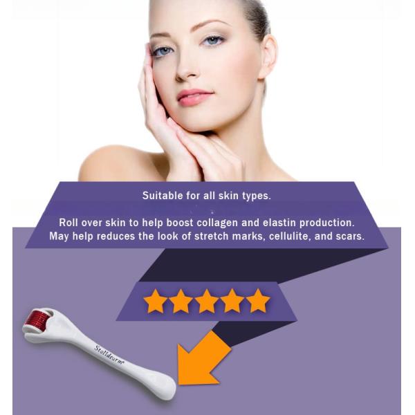 Micro Needle Derma Roller Micro Needling Roller Mesotherapy Needling Roller