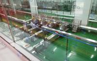 1Ph 220V 50Hz Línea de embalaje automática Máquina de embalaje automática de bocadillos