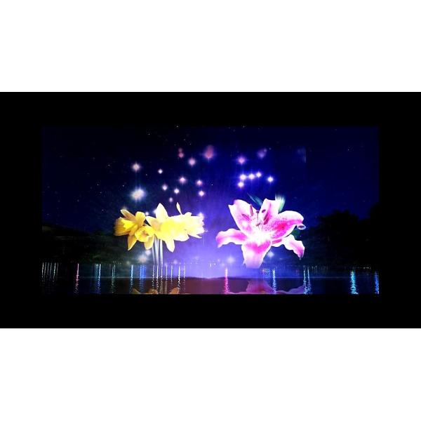 Contemporary Laser Water Screen Projection For Scenic Spots Decoration