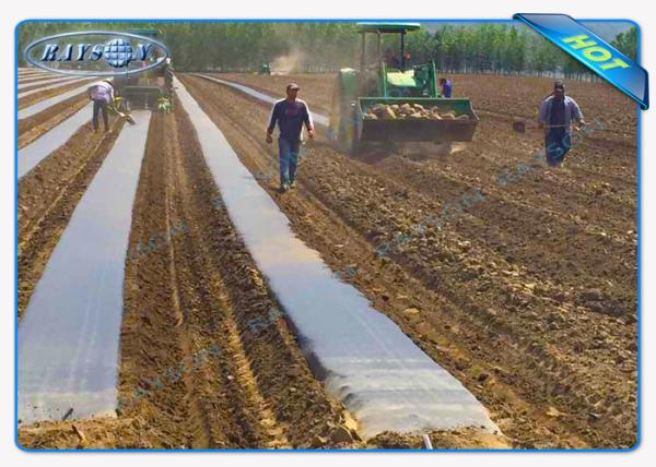 Durable Anti-UV Garden Weed Control Fabric / Agricultural Non Woven Fabric