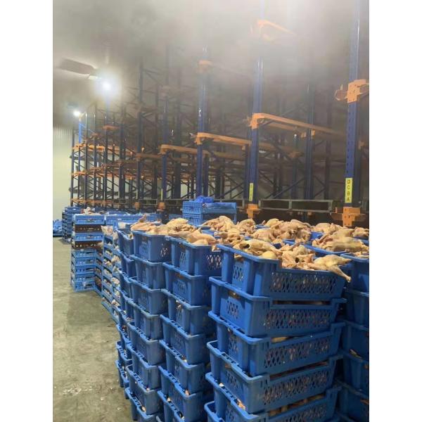 PU Sandwich Panel Cool Storage Room With 0.5 Cm Painted Steel 220V 380V