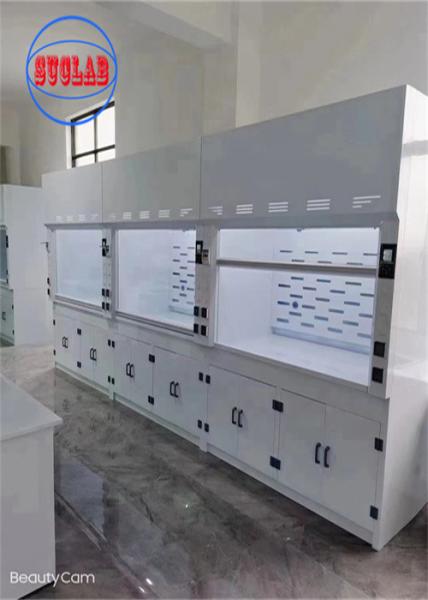 220V Chemical Fume Hood Lab Acid Fume Hood Wall Mounted with Horizontal Structure