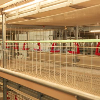 Factory Delivery H Type Fully Automatic Meat Duck Breeding Cage