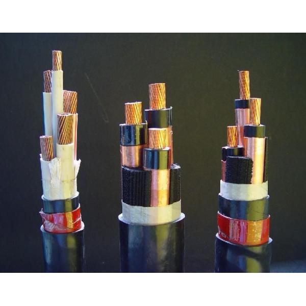 Industrial 2x4mm2 Low Voltage Control Cable with Copper Conductor and PVC Insulation
