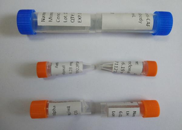 Droga do anticorpo de Monoclone da Anti-morfina do rato do espécime de urina de abuso para a fabricação do IVD