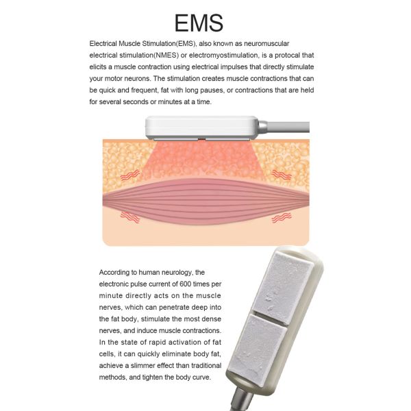 Weight Loss Fast Freezing Cooling Plate EMS Vacuum Cryo Machine