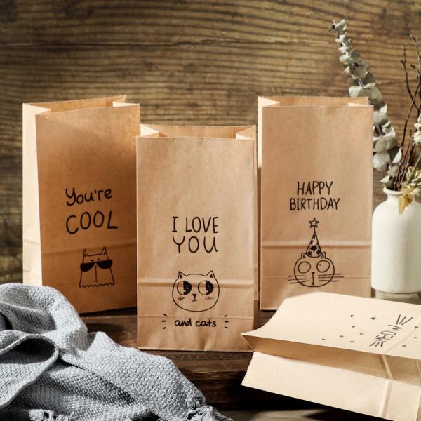 Custom Printed Kraft Gift Bags Eco Friendly Packaging