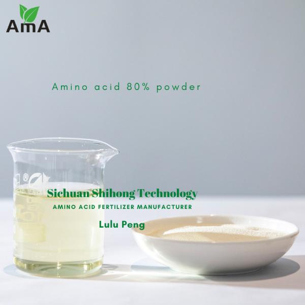AMINO ACID 80% POWDER (16-0-0) – Premium Hydrolyzed Protein Fertilizer