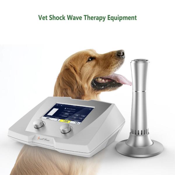 Vet high energy shock wave therapy machine veterinary shockwave therapy machine for racehorse