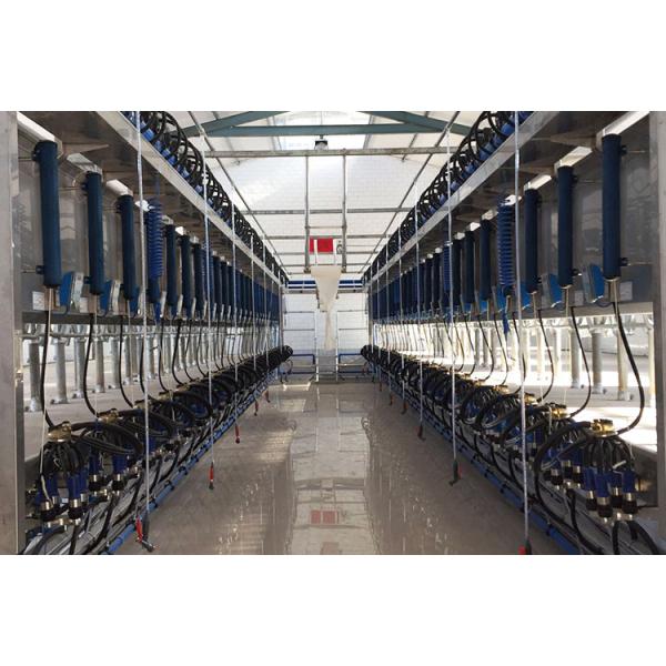 electrical control 60RPM Modern Milking Parlour for Buffalo