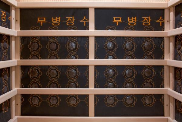 Computer control panel detoxification and dehumidification household sauna room high quality infrared beauty and beauty