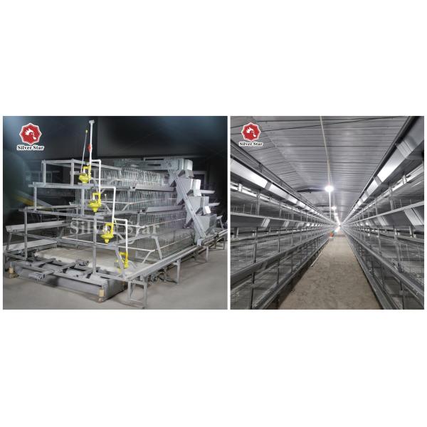 Клетка цыпленка яйца ячеистой сети 60-384, клетка сельского хозяйства слоя HDG Q235