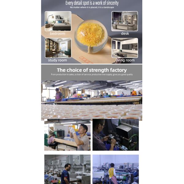 Пресс-папье хрустального шара моды, пресс-папье одуванчика смолы