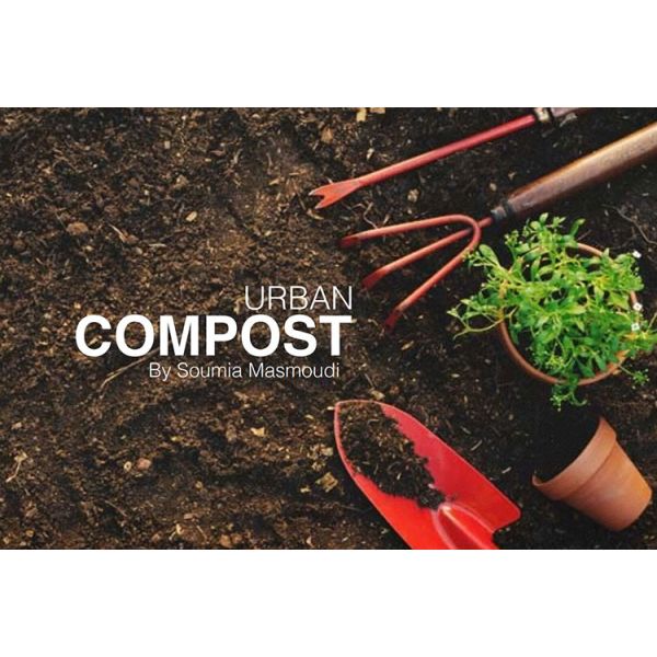 Customized Power 24H Processing Cycle Fully Automatic PLC Control Large Capacity Food Waste Composting System Microbial Wastes