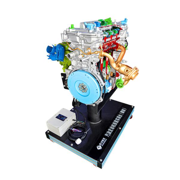 Conseil de formation en anatomie du moteur Stand d'affichage Équipement pédagogique